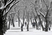 Snowfall in Budapest