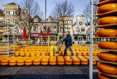 Alkmaar heralds the start of the national cheese market season