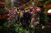 The Royal Horticultural Society's Urban Show in Manchester