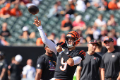 NFL: Baltimore Ravens at Cincinnati Bengals