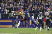 NFL: Cincinnati Bengals at Baltimore Ravens