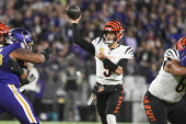 NFL: Cincinnati Bengals at Baltimore Ravens