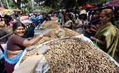 Annual groundnut fair in Bangalore