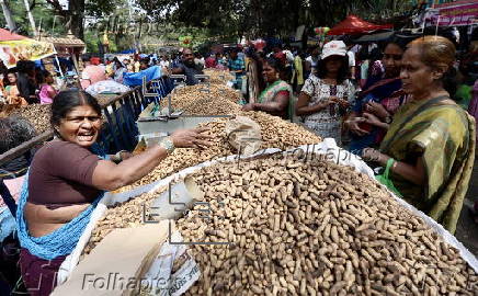 Annual groundnut fair in Bangalore