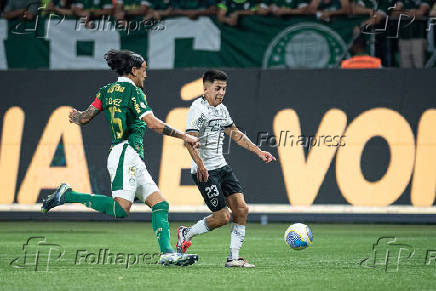 Partida entre palmeiras e botafogo pelo campeonato brasileiro de futebol 2024