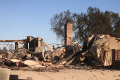 Aftermath of the Mountain Fire in Camarillo, California