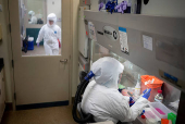 Tulane's primate research center pivots to coronavirus