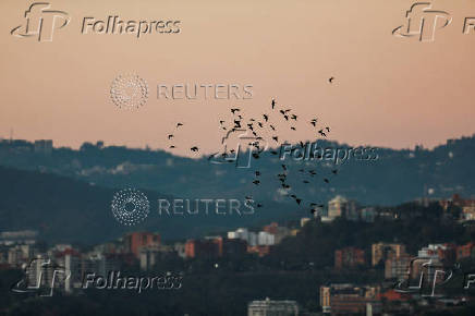 Birds fly over Caracas, on the day of the inauguration of Venezuela's President Nicolas Maduro