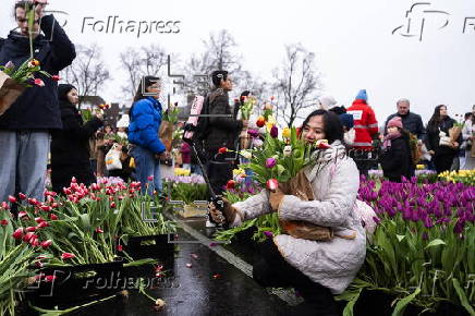 National Tulip Day marks Amsterdam's 750th anniversary