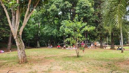 Movimentao no parque da independncia em so paulo