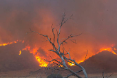 Firefighters and aircraft battle the Hughes Fire near Santa Clarita