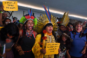 Cientos de indgenas brasileos reclaman en el Congreso el avance de las demarcaciones