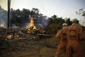 Brigadistas combatem queimada em rea da zona sul de Porto Velho