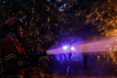 Forest fire in in Bornes de Aguiar, Portugal