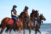 Laytown Racing