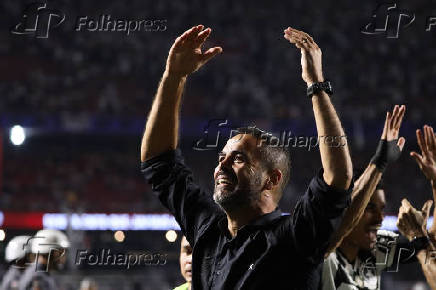 So Paulo e Botafogo pelas quartas de final da Libertadores