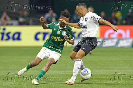 Campeonato Brasileiro 2024 - Palmeiras vs Botafogo