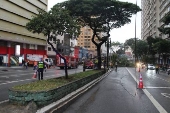 Queda de rvore mata taxista no centro de So Paulo