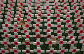 Field of Remembrance at Westminster Abbey in London