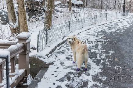 Neve  vista acumulada no Central Park em Nova York