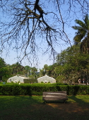 Jardim Botnico - SP