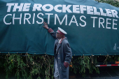 Rockefeller Christmas Tree is Delivered and Raised