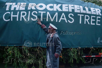 Rockefeller Christmas Tree is Delivered and Raised