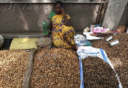 Annual groundnut fair in Bangalore