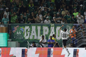 Brasileirao serie A: Palmeiras -Botafogo