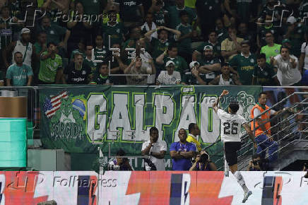 Brasileirao serie A: Palmeiras -Botafogo