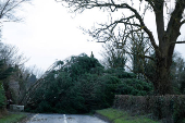 Storm Eowyn hits Ireland