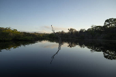 Paisagem no Rio Negro, na Amaznia