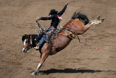 Calgary Stampede rodeo in Calgary