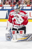 Spengler Cup 2024 - Team Canada vs Straubing Tigers