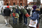 Christmas trees on sale in central Bialystok