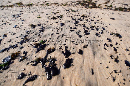 Manchas de leo na praia da Pituba, em Salvador (BA)