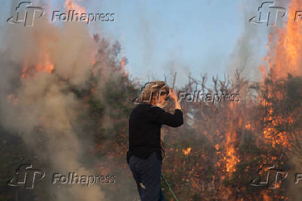 Incndio florestal atinge a regio da Serra da Mantiqueira