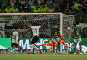 Brasileiro Championship - Palmeiras v Botafogo