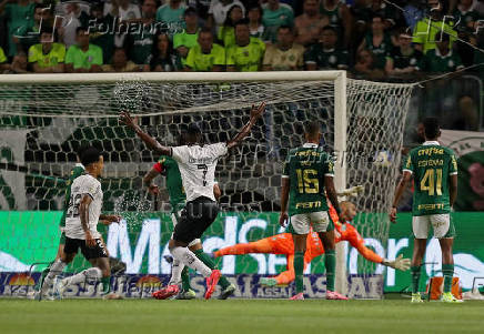 Brasileiro Championship - Palmeiras v Botafogo