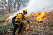 Cal Fire firefighters tackle the Bridge Fire threatening mountain communities, in Wrightwood