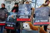 Anti-fur protest in Antwerp