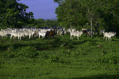 Propriedade rural no limite das cidade de So Jos dos Campos 