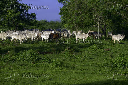 Propriedade rural no limite das cidade de So Jos dos Campos 