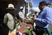 Yemeni Mocha Coffee Day in Sana'a