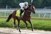Horse Racing: 149th Preakness-Workouts