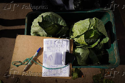 RS faz operao de guerra para no faltar hortifrti