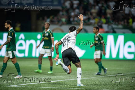 Partida entre palmeiras e botafogo pelo campeonato brasileiro de futebol 2024