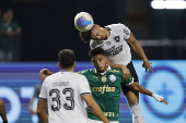 Brasileirao serie A: Palmeiras -Botafogo