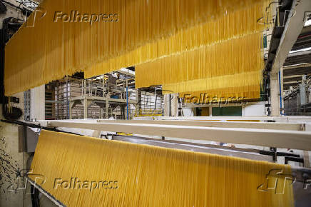 Produo de espaguete na Selmi em Sumar (SP)
