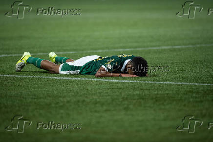 Partida entre palmeiras e botafogo pelo campeonato brasileiro de futebol 2024